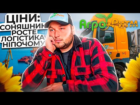ЦІНИ: СОНЯШНИК РОСТЕ!