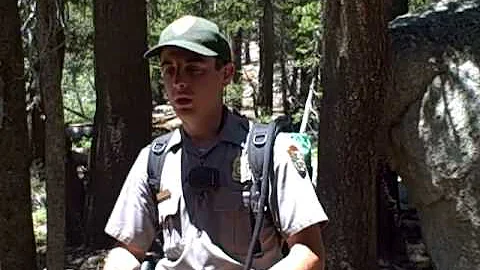 Can you carry a gun in Yellowstone National Park?