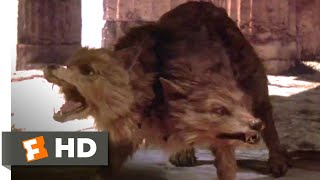Clash of the Titans (1981) - Two-Headed Dog Fight Scene (5/10) | Movieclips