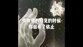 202001 你有佛的知见的时候  你就有了依止51439