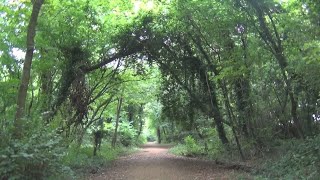 Parkinsons Walks Friday Vlog + Swindon to Highworth branch line