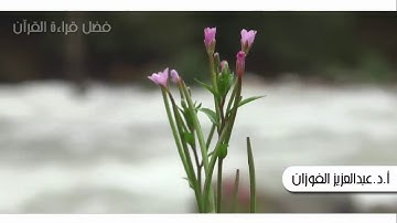 فضل قراءة القرآن الكريم .. الشيخ / أ.د.عبدالعزيز الفوزان.