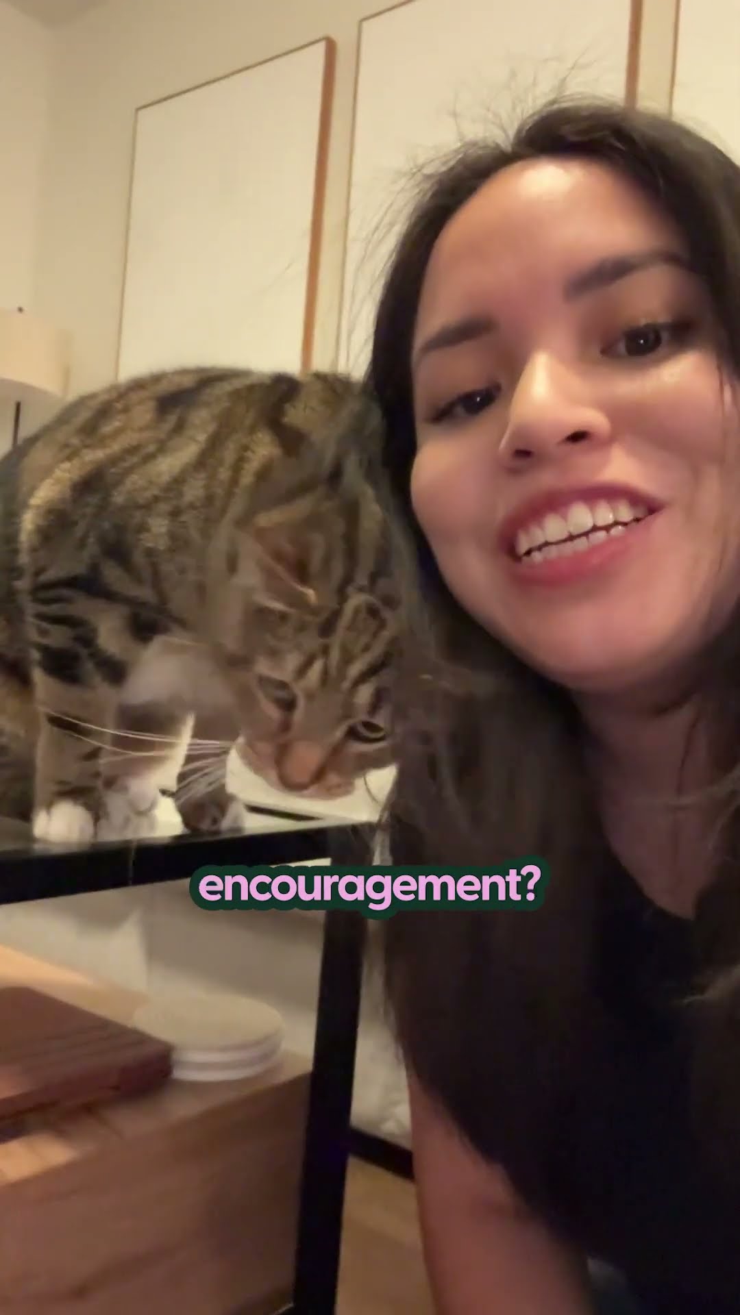 Your Cat's New Favorite Toy | The Pack