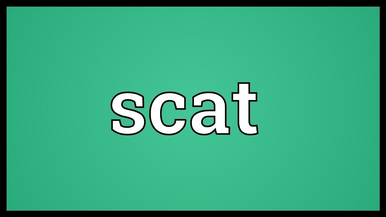 Scat Meaning YouTube Scat Meaning YouTube