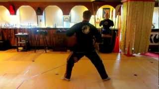 Chen Tai Chi 38 with Names in English and Chinese Walk through pace PART 1 (from behind)