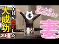 【注文住宅】絶対に真似してほしい！！新居に住んで1年の妻が感じた我が家の大大大成功ポイント20選！！！【成功ポイント】