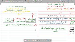 مراجعة الاتصال العصبي رابعة متوسط (الجزء الثاني)