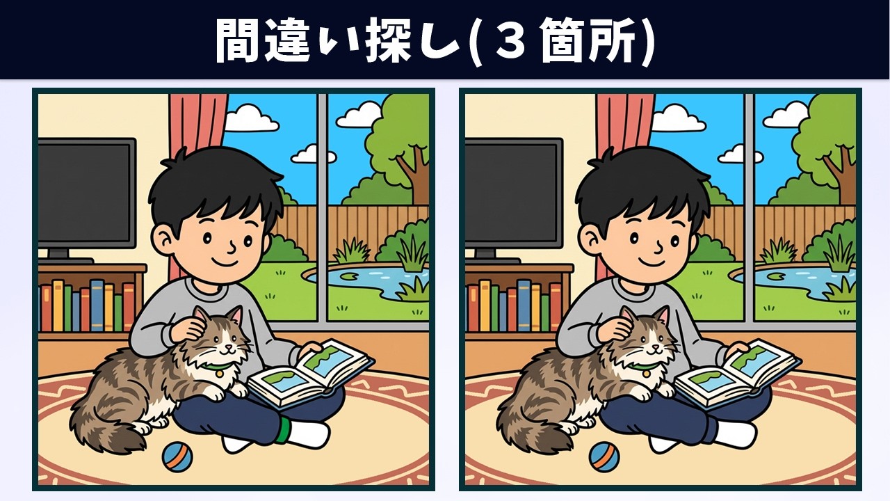 Найдите 3 отличия | Иллюстрация Версия #2069