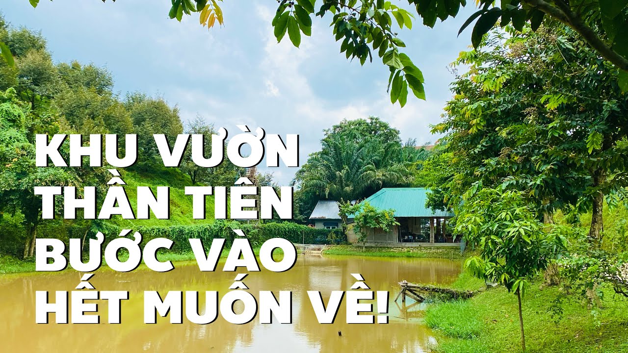Tuổi già yếu buộc lòng nhượng lại khu nhà vườn sinh thái vô cùng tâm huyết