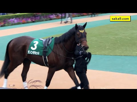 【現地】 2020 東スポ杯2歳S パドック 3周回 ダノンザキッド 他