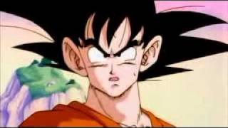 Nappa Meat Popsicle