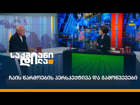 ჩაის წარმოების პერსპექტივა და გამოწვევები