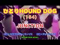 ひとりHOUND DOG(184)【JUNCTION】