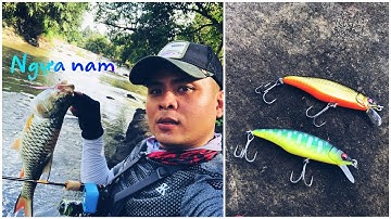 Câu cá suối đầu mùa  ,đụng phải cá ngựa lớn ,thác giang điền ( 2020 )