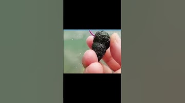 Cách móc ốc câu cá của các cụ để lại #cauca #fishing #fishingvideo #moicau #dammecauca #moicauca