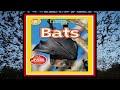 Understanding Bats