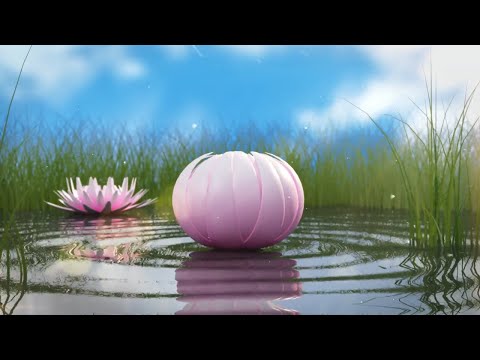 How To Make Drainage In Your Backyard Tagalog DIY Backyard Gardening by Vhim Vlogs