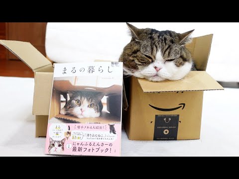 【お知らせ】まるの暮らし。About Maru's new book!【Notice】