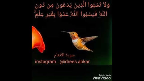 اية مؤثرة سورة الانعام القارئ ادريس ابكر حالة واتس اب