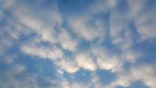 우리는 속옷도 생겼고 여자도 늘었다네 - Neverend