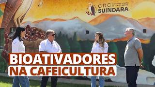 Bioativadores na cafeicultura