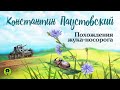 КОНСТАНТИН ПАУСТОВСКИЙ «ПОХОЖДЕНИЯ ЖУКА - НОСОРОГА». Аудиокнига. Читает Александр Бордуков