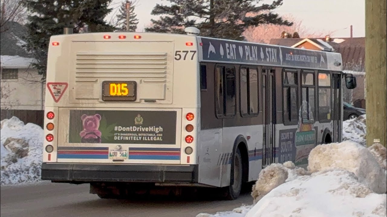 Ride on Winnipeg Transit 577 | D15 to Downtown | 2003 New Flyer D40LF