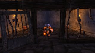 WoW Classic - Paladin Stockades Boost Speedrun