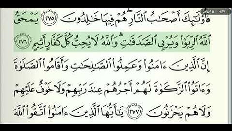 صفحة رقم 47 الشيخ وديع اليمني القرآن الكريم