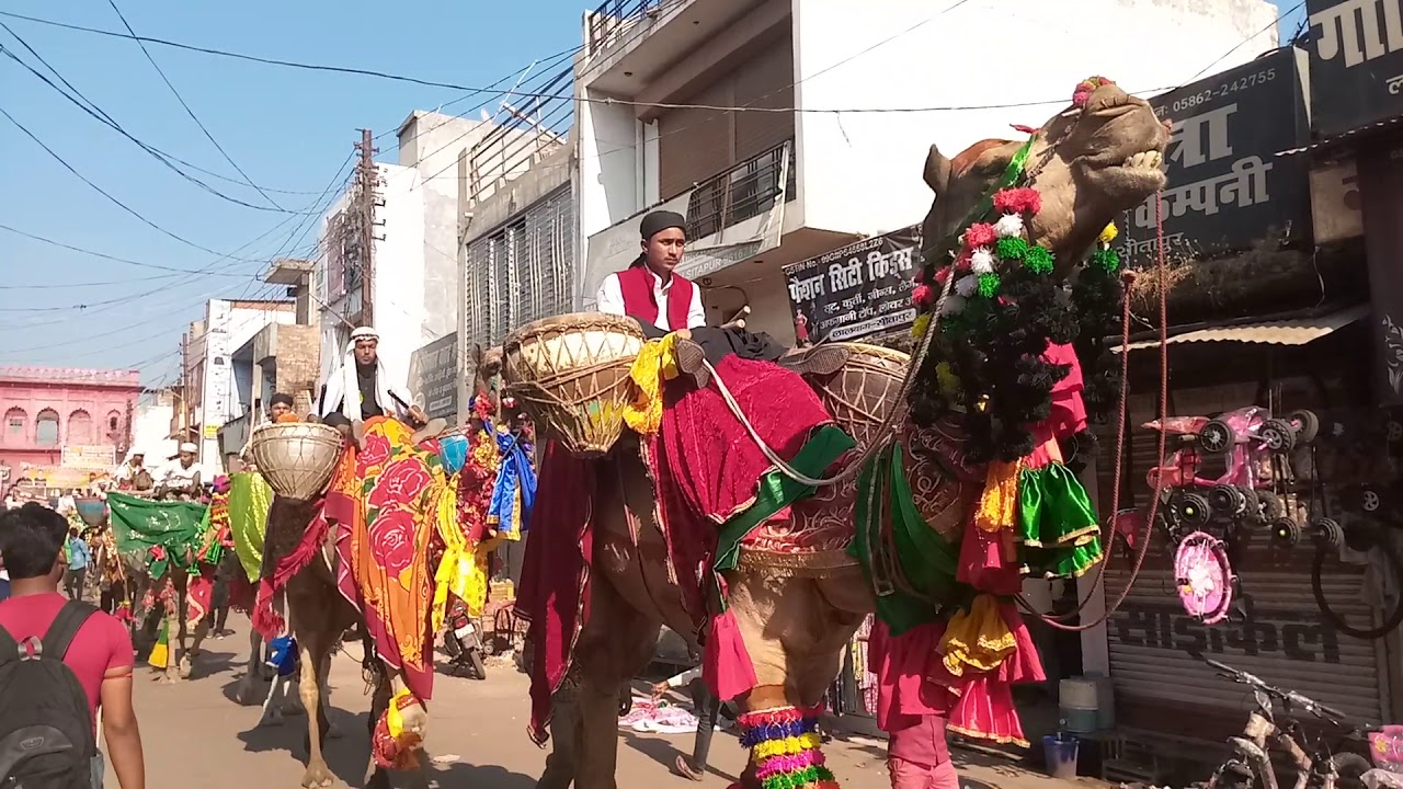 juluse muhammdi wa madhe sahaba sitapur 2019