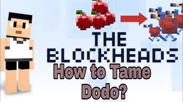 How to tame Dodo | The Blockheads