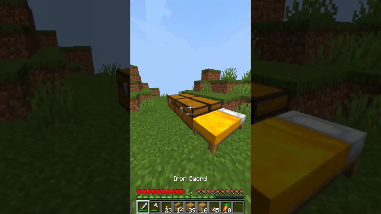 😨💥 POV: Tu loro hace el sonido del CREEPER 🦜🎮💣 #minecraft #fypシ #humor #creeper #memes