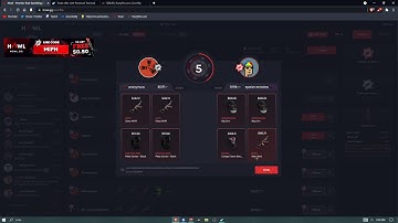 INSANE ALL IN FLIP FOR $4000 ON HOWLGG