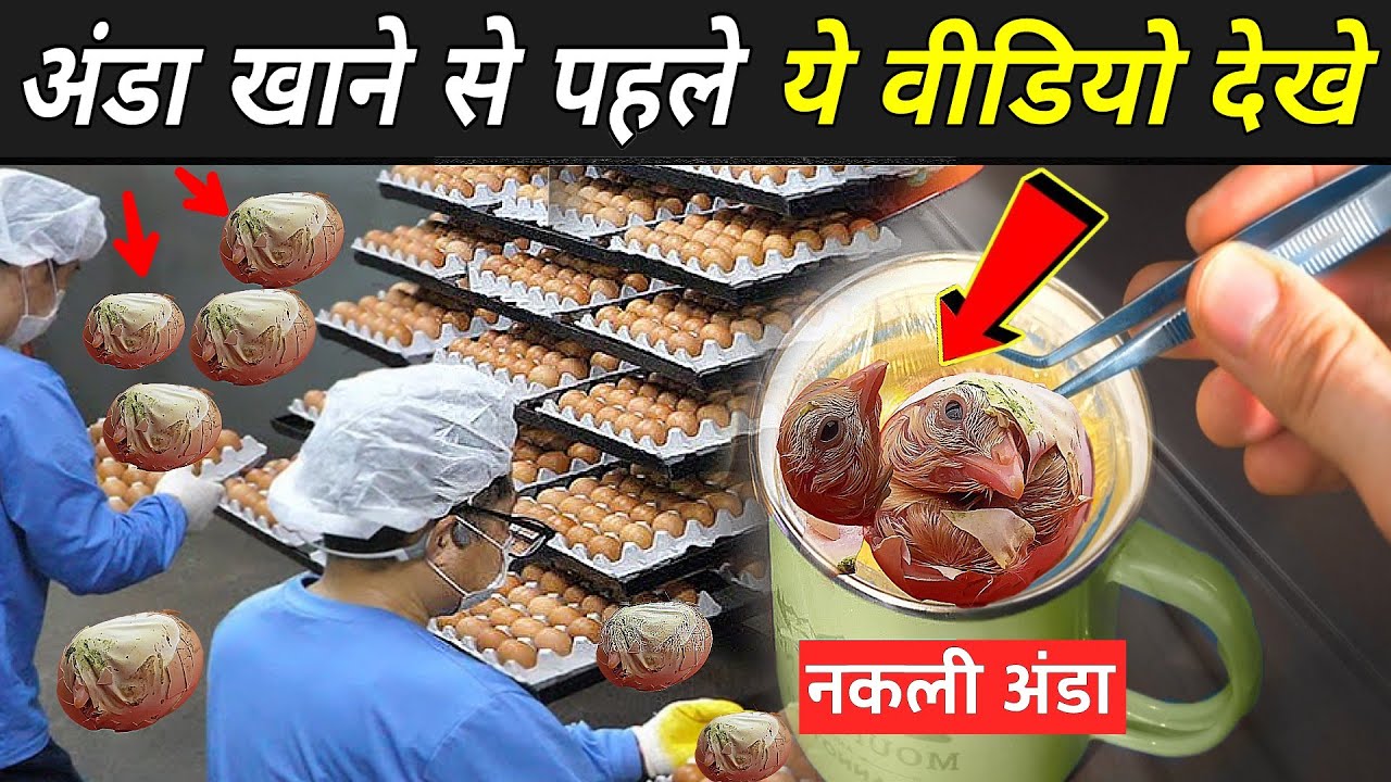 नकली अंडा कैसे बनता है ? Artificial Egg Making Process Nakli Egg