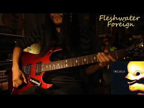 Fleshwater - Foreign (Guitar Cover!)