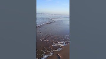 سورة البقرة الآية 260