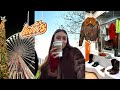 Je teste le coffee shop de rosa bohneur  lille  et quelques friperies  vlog