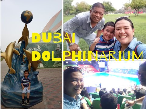 DUBAI DOLPHINARIUM | Danah Montelibano