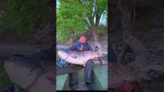 💪 ER IST ONLINE! Petri Heil, Leute! 🎣Der erste Live-Stream vom Wasser ist online 🎥 #wallerangeln