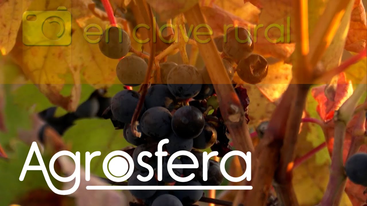 Turismo rural Mucientes / Valladolid | Agrosfera | La2