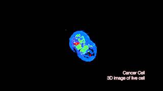 Method Provides Window into Cells Sans Dye