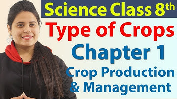 Type of Crops - Chapter 1 - Crop Production and Management - Science Class 8, NCERT- 2024-25