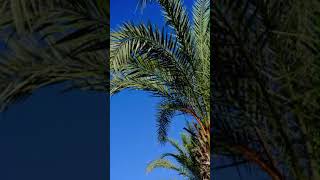 1670 1015572 mp3