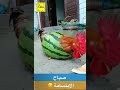 احلى حالات واتساب جدا جدا 