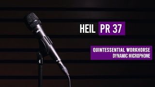 Heil Sound PR 37 ダイナミックマイク Amazon.co.jp: HEil Sound ヘイルサウンド ダイナミックマイク