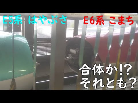 morioka station 2019　盛岡駅　E5系はやぶさ＋E6系こまち　連結？切り離し？