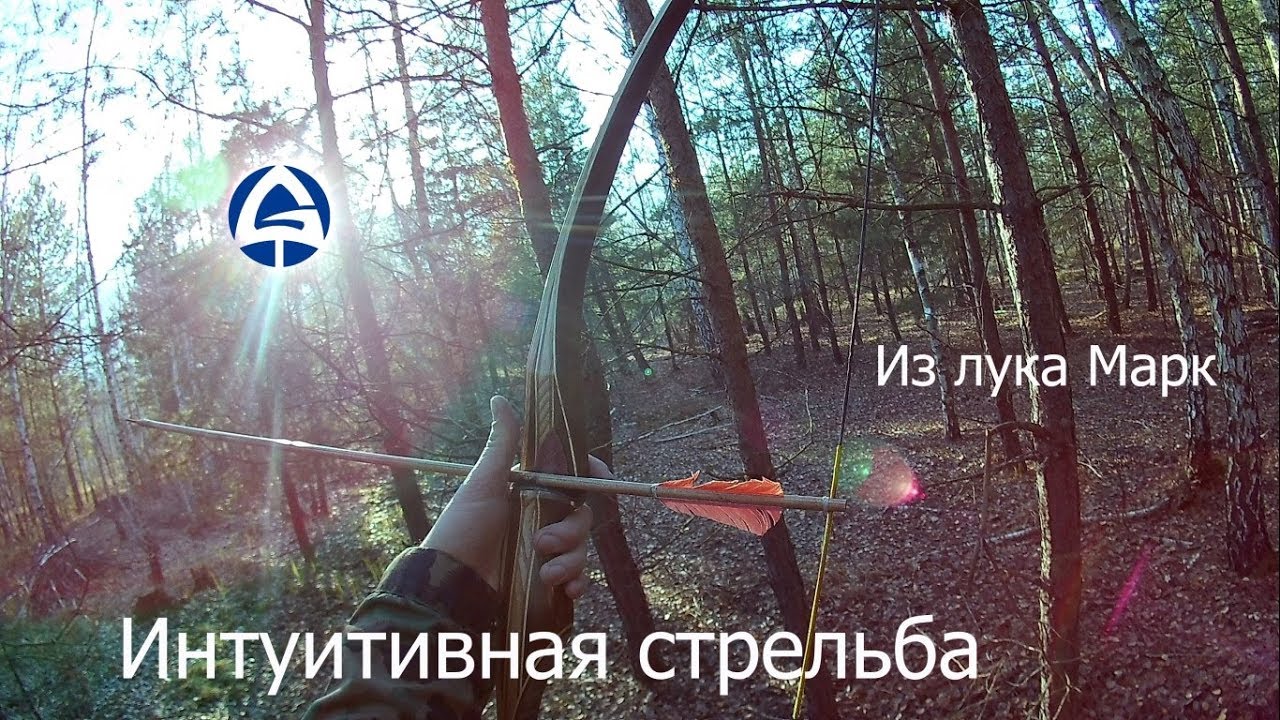 Интуитивная стрельба из лук Mark