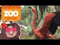Great Flamingo Noodle Necks?! 🦁 Zoo Tycoon: Giraffe Horizons • #2