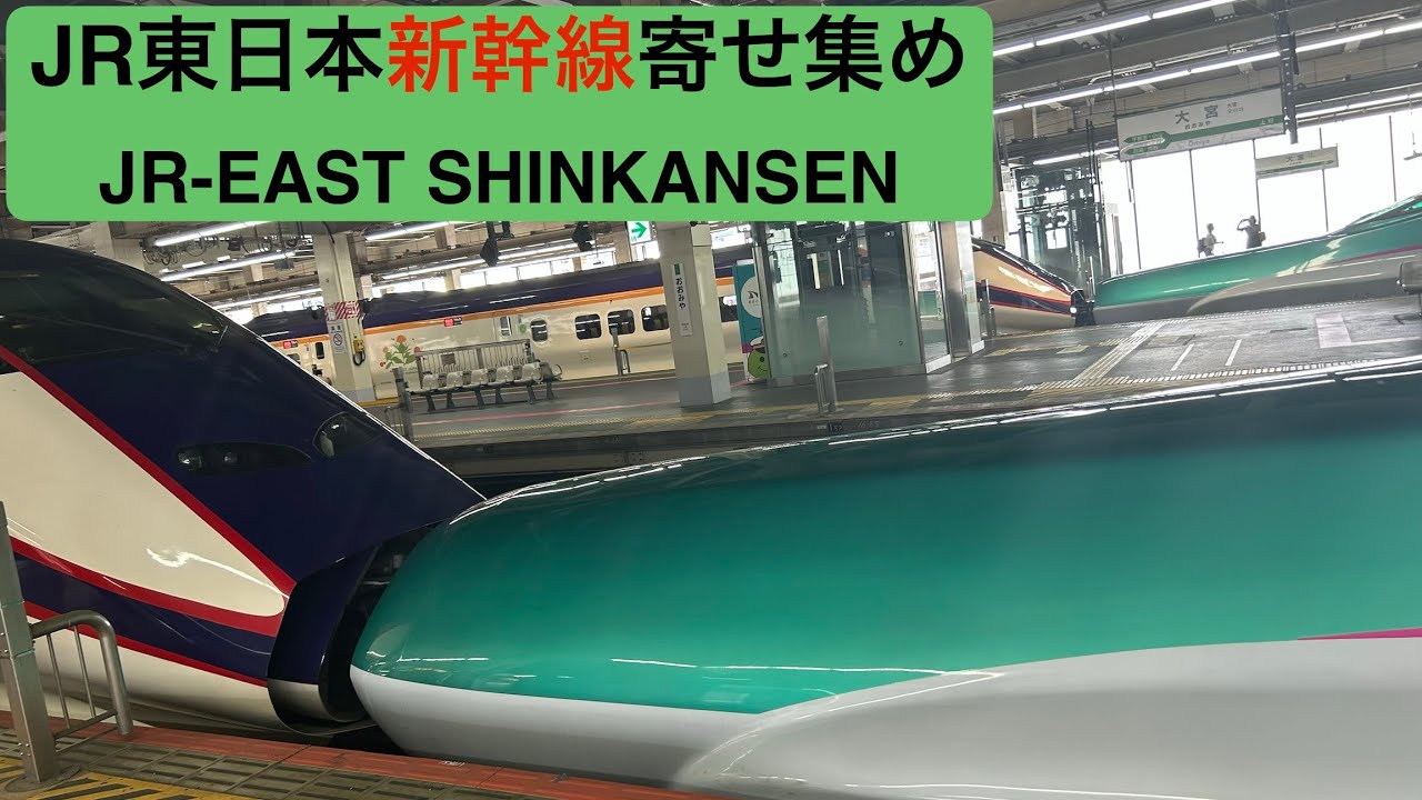 2025年 JR東日本新幹線寄せ集め(E2.E3銀つば.E5.East-i.E6.H5.alfax.E8.E7) Assortment of JR-EAST Shinkansen train cars