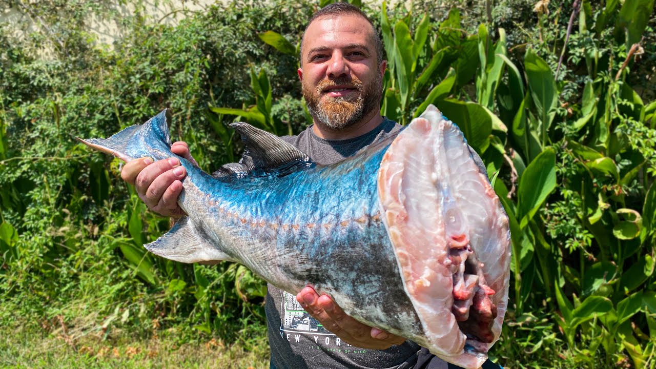 A HUGE BELUGA SMOKED IN A BOX! THE EASIEST WAY TO SMOKE FISH - YouTube